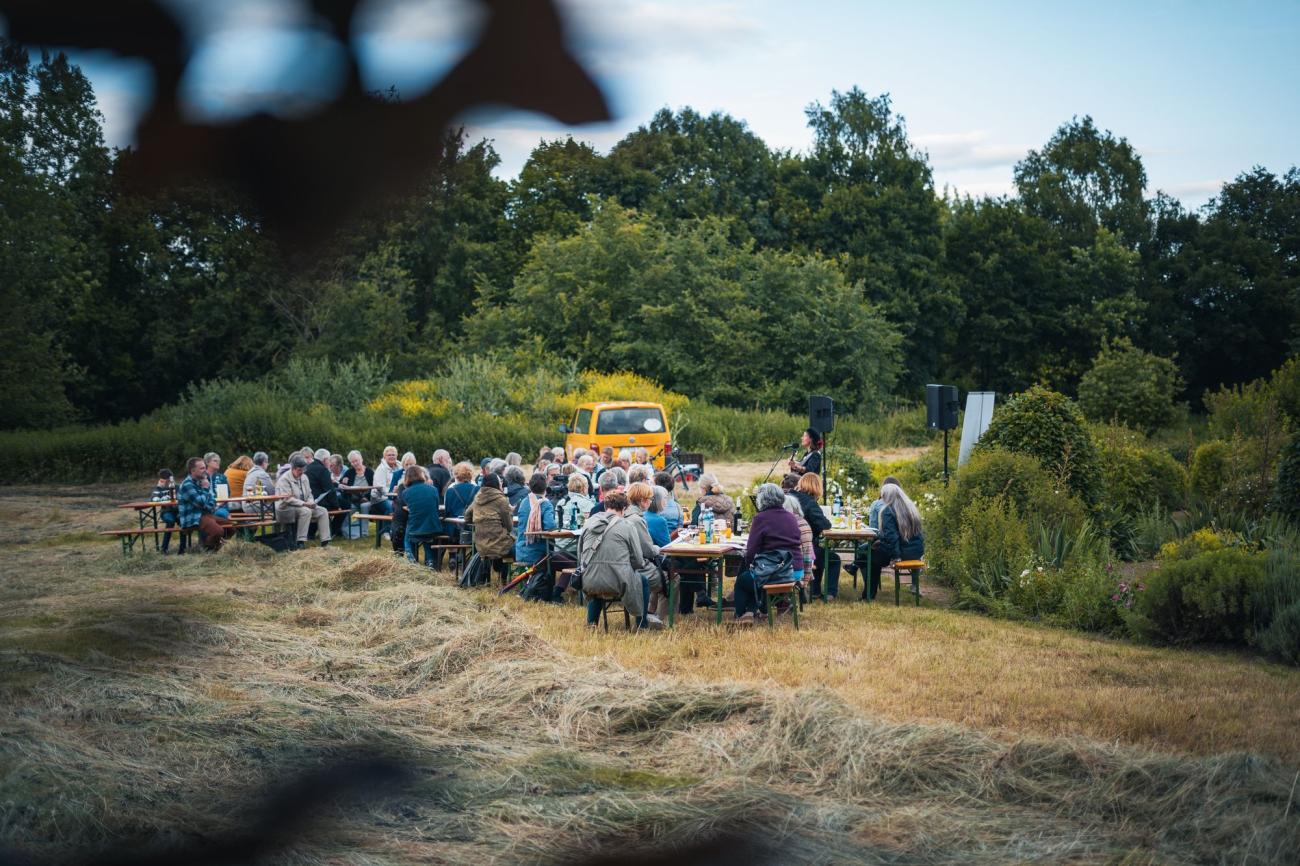 Frauen bei einem Open Air Konzert